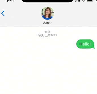 朝阳apple维修iPhone上无法正常发送iMessage信息