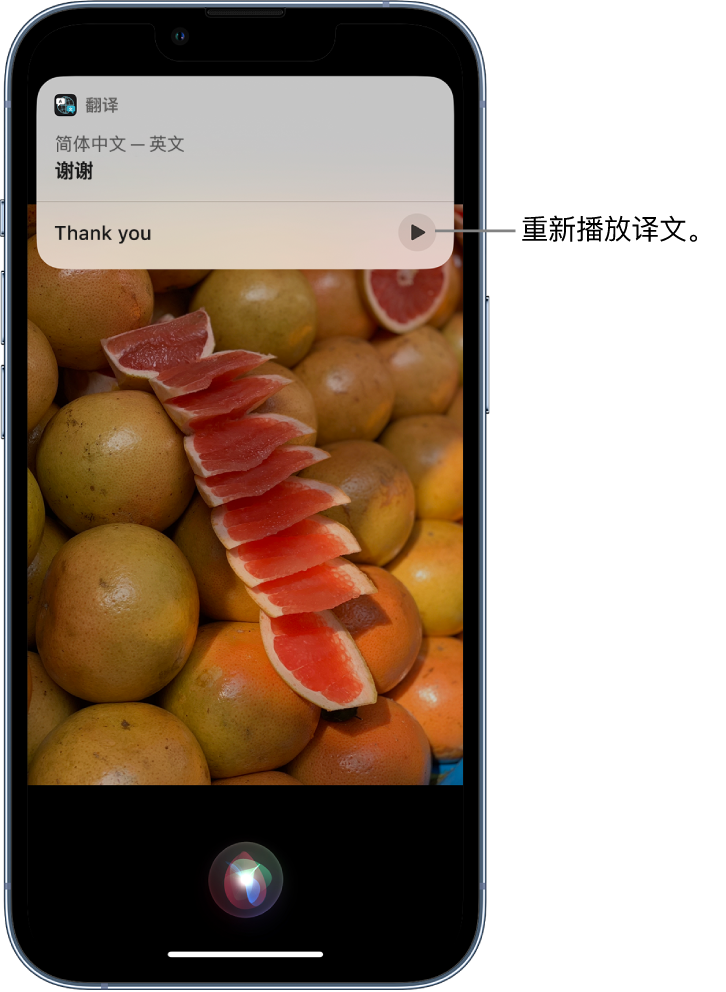 朝阳苹果14维修分享 iPhone 14 机型中使用 Siri：了解 Siri 能帮你做什么 