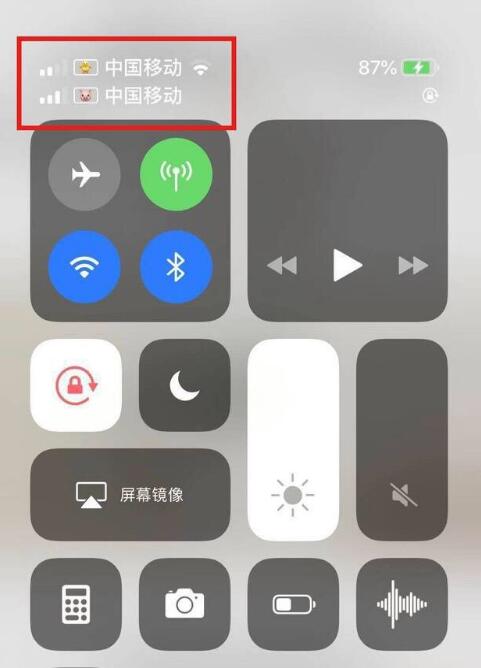 朝阳苹果手机维修分享为 iPhone 12 双卡设置标签 